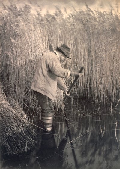 A Reed Cutter at Work, Life and Landscape on the Norfolk Broads, c.1886 by Peter Emerson und Thomas Goodall